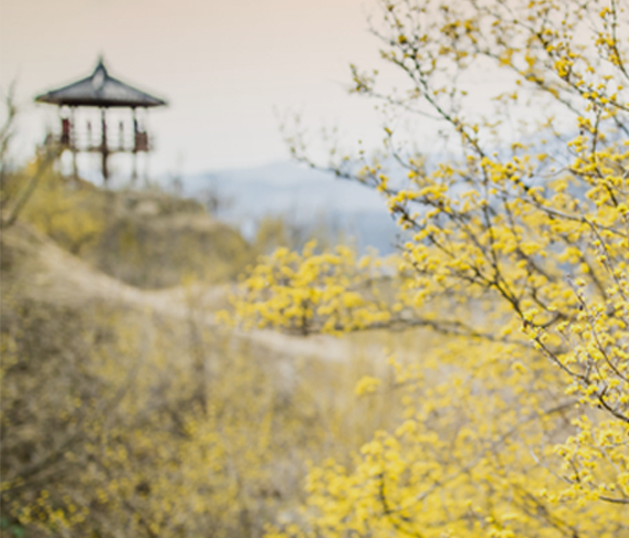 구례군 홈페이지 시스템 통합 유지보수