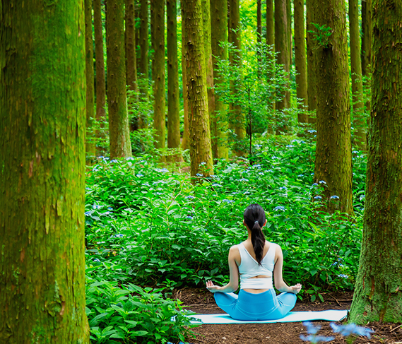 팔영산 편백 치유의 숲 홈페이지 유지보수